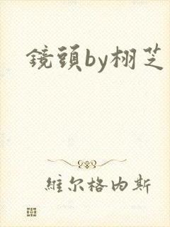 镜头by栩芝