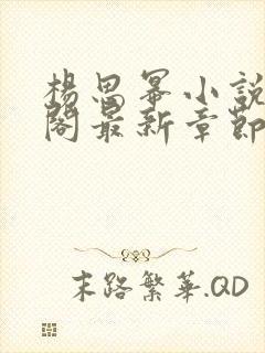 杨思幂小说笔趣阁最新章节