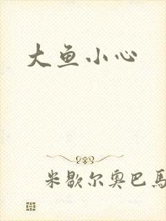 大鱼小心封面