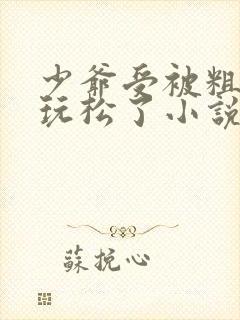 少爷受被粗汉H玩松了小说封面