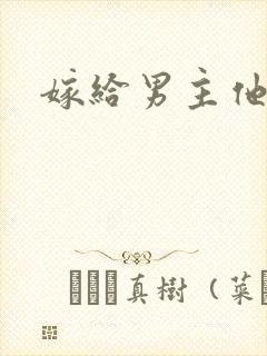 嫁给男主他爸爸