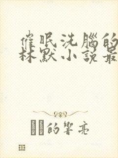 催眠洗脑的姐姐林默小说最新章节更