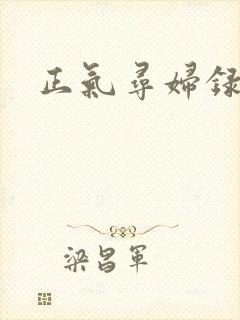 正气寻妇录