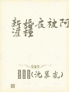 新婚夜被阿龟强灌种封面