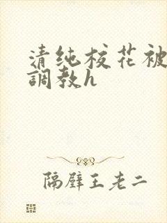 清纯校花被地狱调教h封面