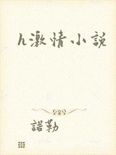 h激情小说封面