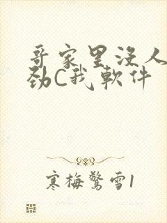 哥家里没人使点劲C我软件