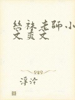 丝袜老师小说h文爽文