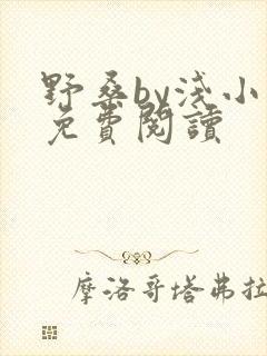 野桑by浅小说免费阅读