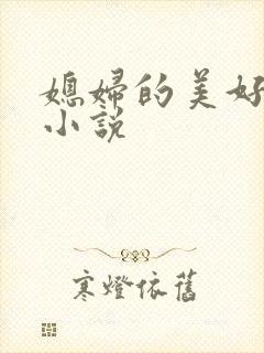 媳妇的美好时代小说封面