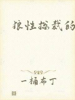 狼性总裁的尤物封面