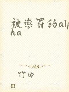被惩罚的alpha