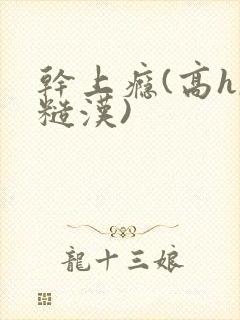 干上瘾(高h,糙汉)