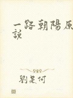一路朝阳原著小说