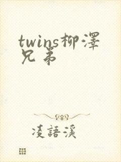 twins柳泽兄弟封面