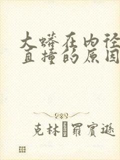 大蟒在内径横冲直撞的原因