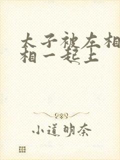 太子被左相和右相一起上