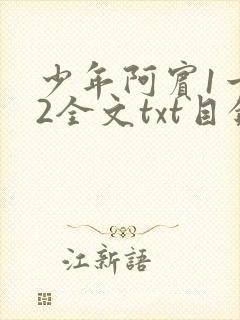 少年阿宾1一72全文txt目录