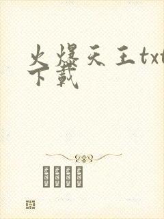火爆天王txt下载