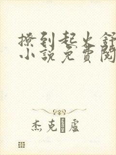 撩到起火舒漾的小说免费阅读全文封面