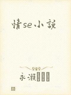 情se小说