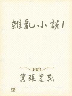 杂乱小说1