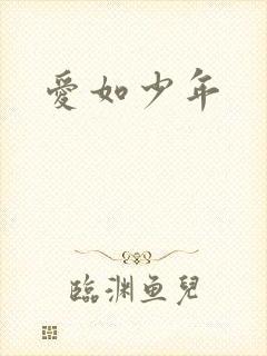 爱如少年
