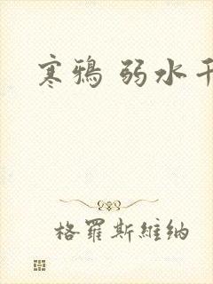 寒鸦 弱水千流