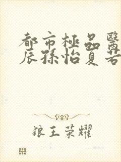 都市极品医神叶辰孙怡夏若雪小说阅封面