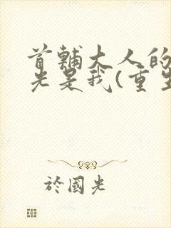 首辅大人的白月光是我(重生)