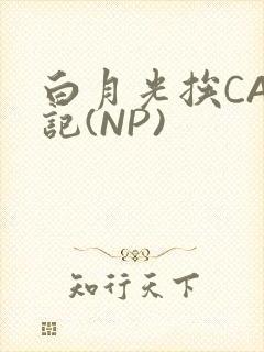 白月光挨CAO记(NP)