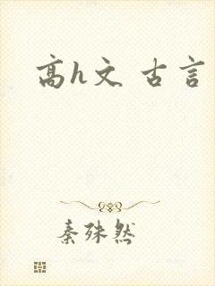 高h文 古言