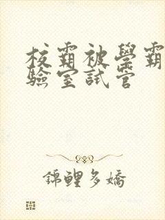 校霸被学霸压实验室试管