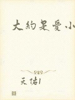 大约是爱小说