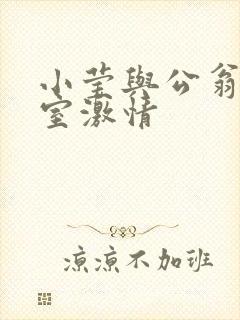 小莹与公翁办公室激情