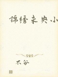 锦绣未央小说