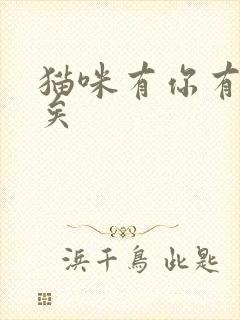 猫咪有你有我足矣