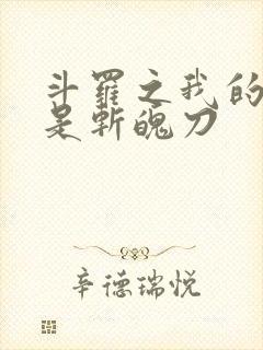 斗罗之我的武魂是斩魄刀