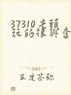 37310老头玩的很兴奋封面