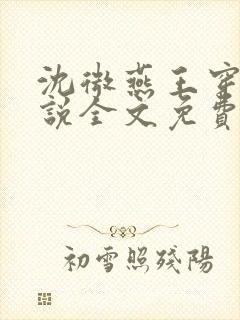 沈微燕王穿越小说全文免费阅读