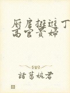 厨房挺进丁字裤高官贵妇