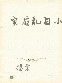 家庭乱日小说