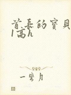 首长的宝贝1v1高h