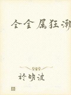 全金属狂潮小说