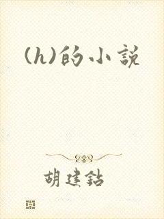 (h)的小说