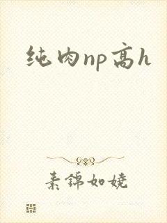 纯肉np高h