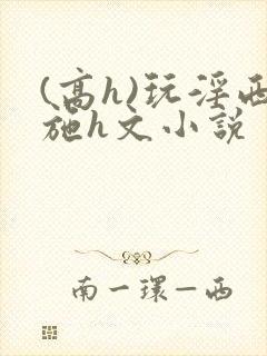 (高h)玩淫西施h文小说封面