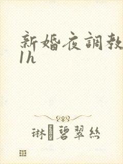 新婚夜调教1v1h