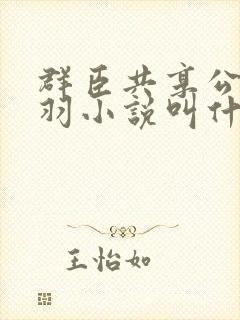 群臣共享公主银羽小说叫什么