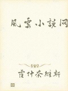 风云小说网封面